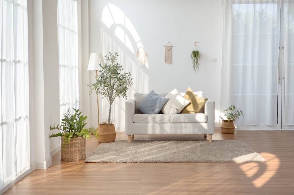 Bright, sunny living room with white walls
