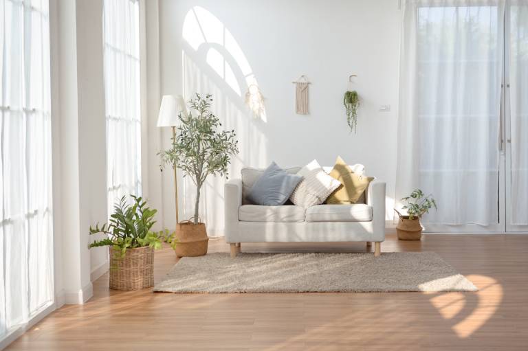 Bright, sunny living room with white walls