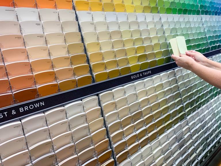 Comparing paint color samples at the store